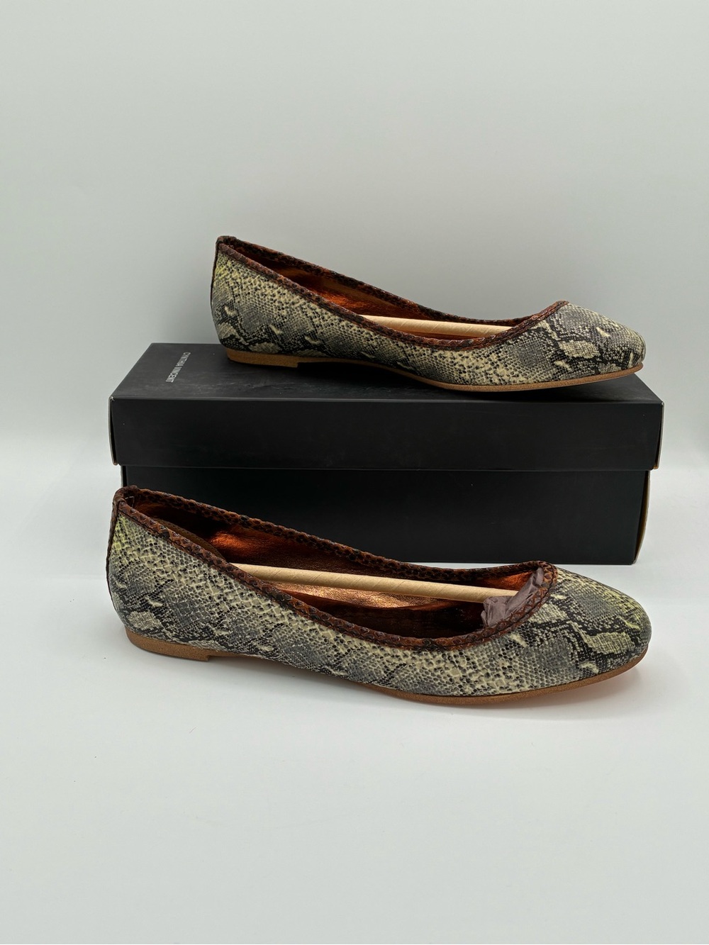 Cynthia Vincent Sage Ballet Flats Leather